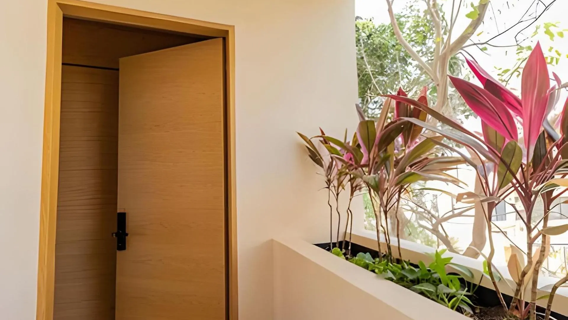 Full Apartment With Private Pool, Roof Garden, Bbq, Wifi, 2 Beds Tulum